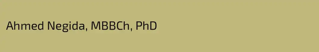 Ahmed Negida, MBBCh, PhD